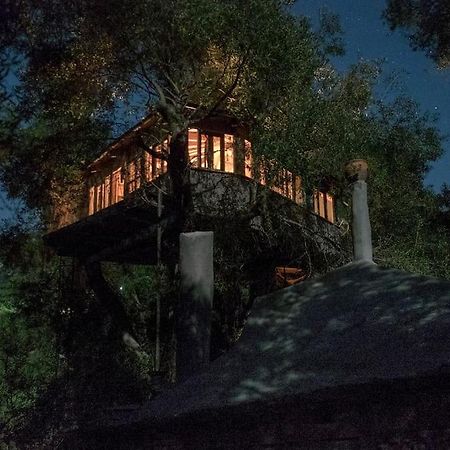Margaritis'S Treehouse Villa Paramónasz Kültér fotó