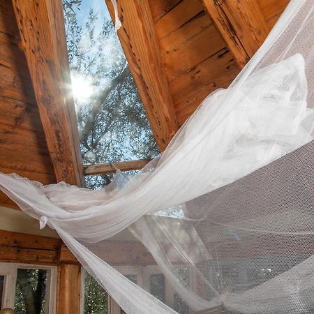 Margaritis'S Treehouse Villa Paramónasz Kültér fotó