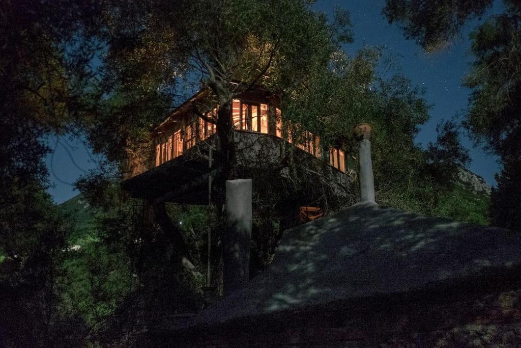 Margaritis'S Treehouse Villa Paramónasz Kültér fotó