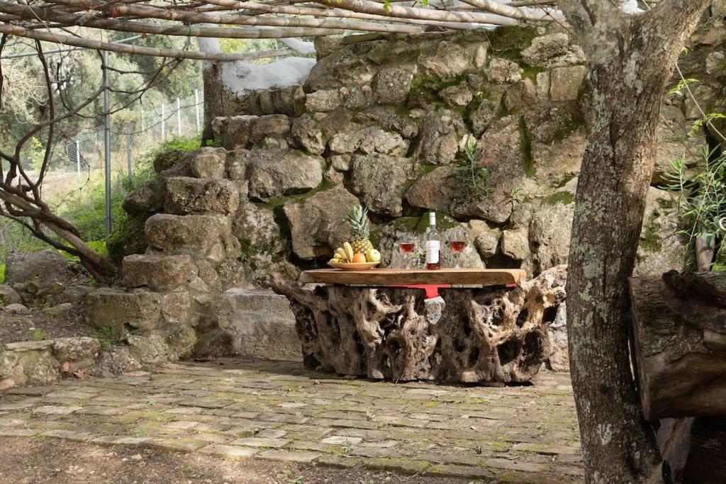 Margaritis'S Treehouse Villa Paramónasz Kültér fotó