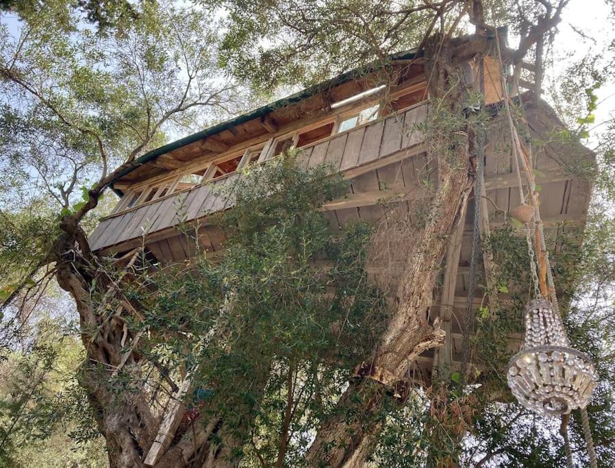 Margaritis'S Treehouse Villa Paramónasz Kültér fotó
