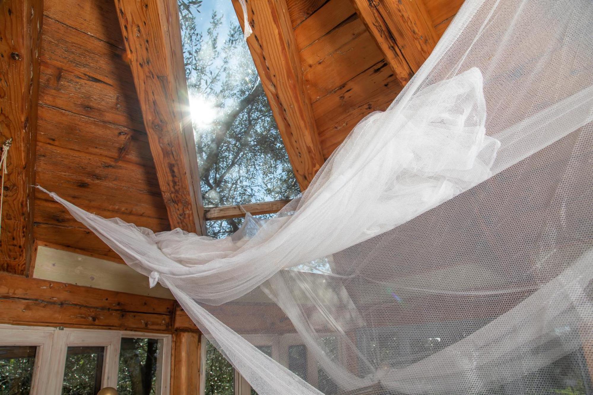 Margaritis'S Treehouse Villa Paramónasz Kültér fotó